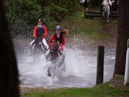 IMG_8397_web